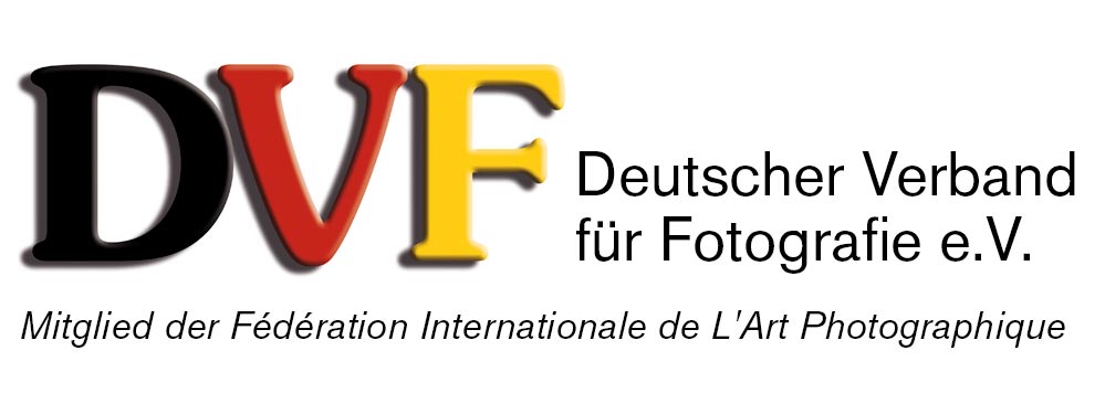 Logo DVF sachsen